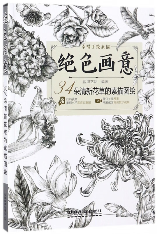 绝色画意(34朵清新花草的素描图绘)