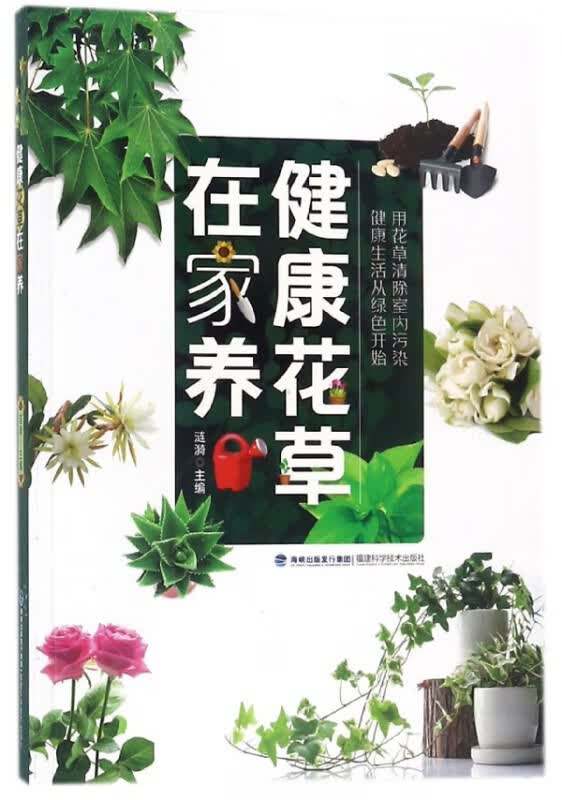 健康花草在家养