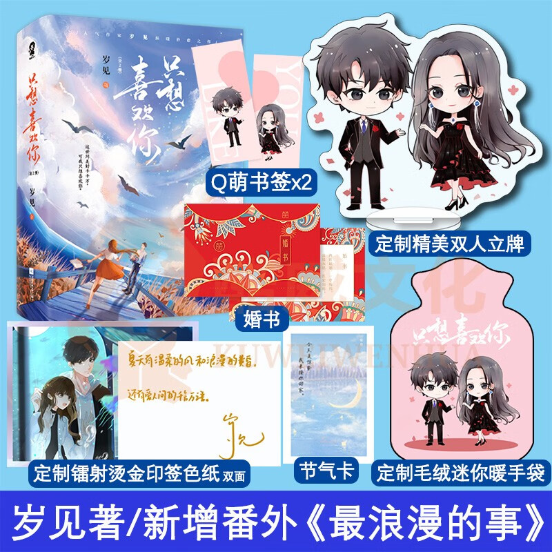 特签版+定制赠品】只想喜欢你 岁见著 云泥小说同一作者实体书晋江文学城小说青春文学都市言情小说实体图书籍