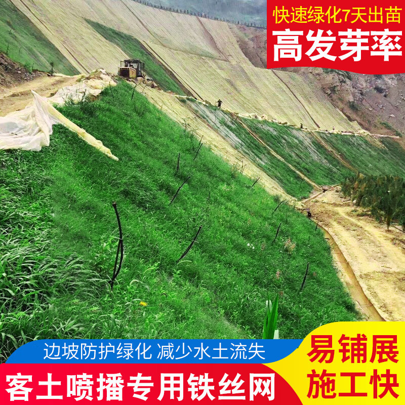 山体边坡绿化植草客土喷播勾花网镀锌铁丝网喷浆格栅网挂浆护网