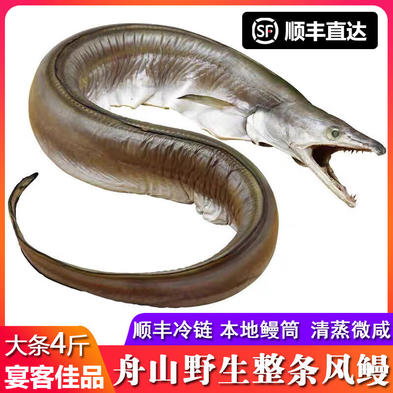 咸海 相关京东优惠商品人气降序排行榜 价格图片品牌优惠券 虎窝购