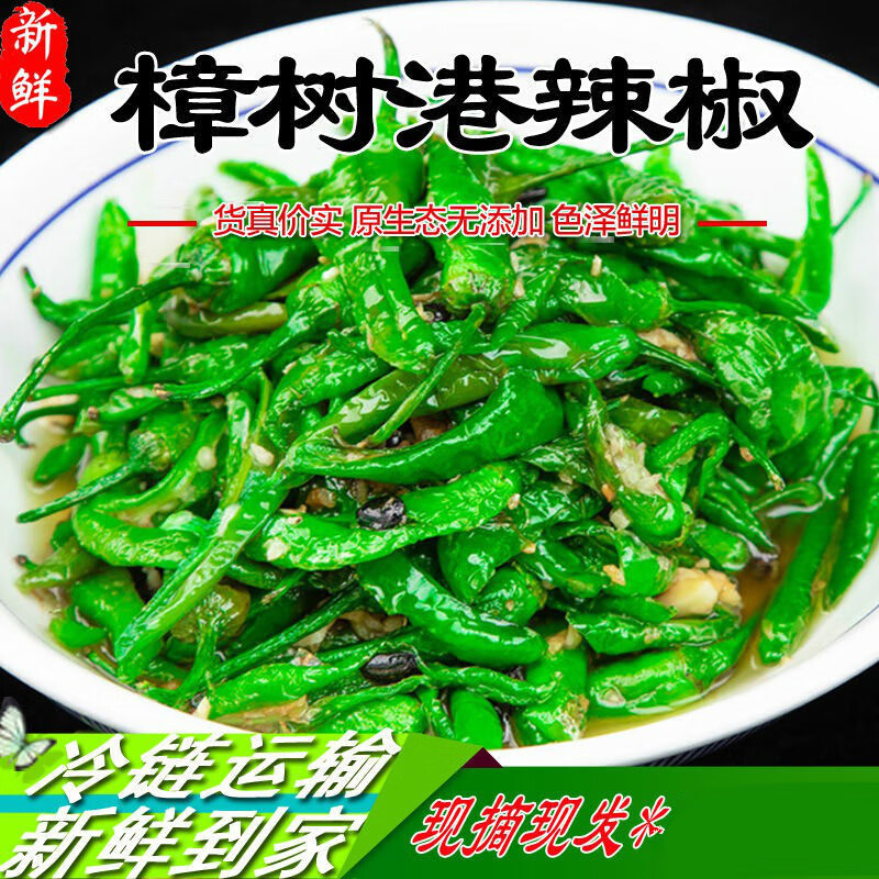 樟树港辣椒 湖南樟树港辣椒现摘新鲜富晒辣椒青椒薄皮嫩辣椒产地供应