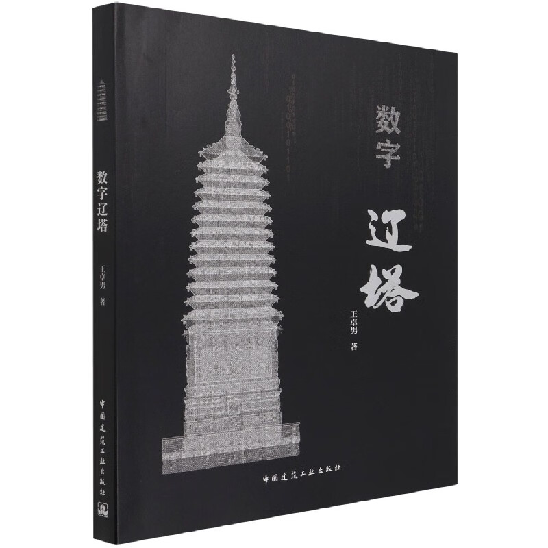 数字辽塔 王卓男