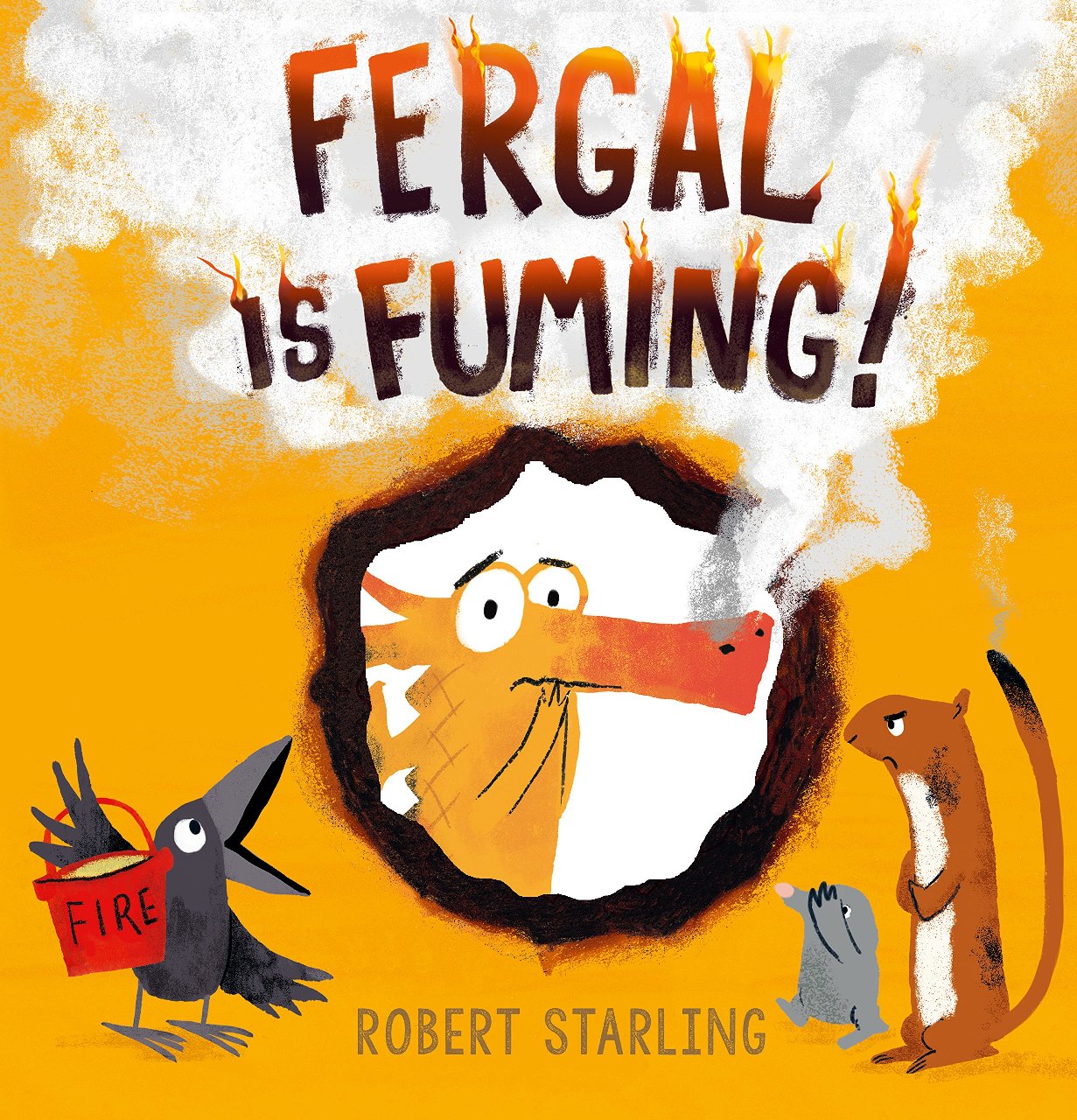 Fergal Is Fuming!弗加尔在冒烟 愤怒情绪管理 英文原版儿童绘本