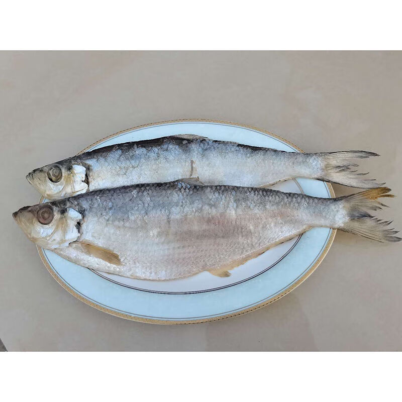 金泰杯(j 白鳞鱼咸鱼干曹白鱼500g咸香鱼白力鱼海鱼海鲜干货200g