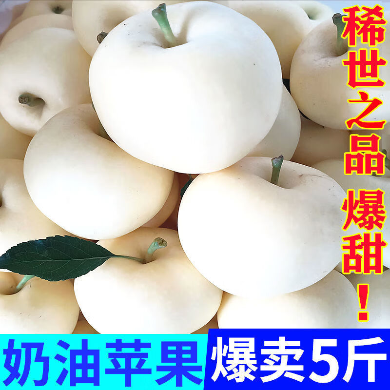 【精选现发】山东奶油苹果脆甜牛奶富士苹果冰糖心现摘新鲜当季白苹果