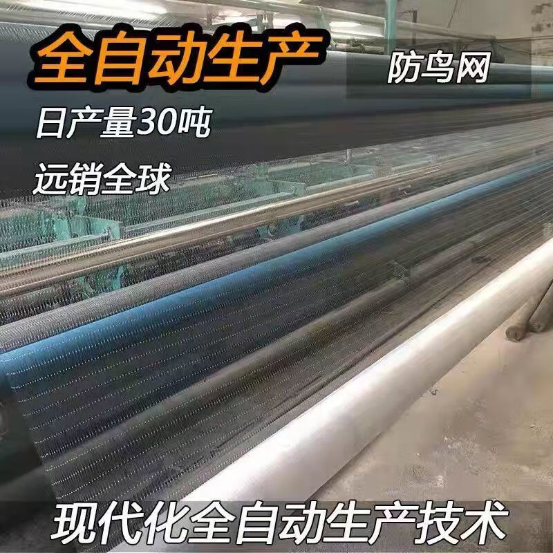 墨薰槿果园防鸟网樱桃葡萄果园农田稻谷鱼塘大网孔防鸟天网大棚防护网