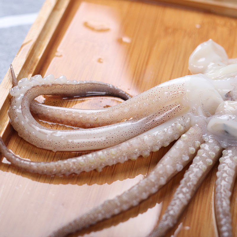 小鱿鱼须新鲜冷冻鱿鱼头冰冻鱿鱼须批发 章鱼足八爪鱼海鲜烧烤串 康