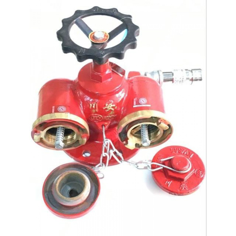 多用式消防水泵接合器 多功能水泵结合器sqd150-1.
