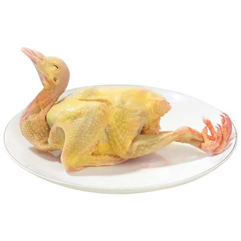 硒全食美富硒老鴿王 450g/只 冷凍 供港鴿子生鮮冷鏈 煲湯優(yōu)選鹵煮食材