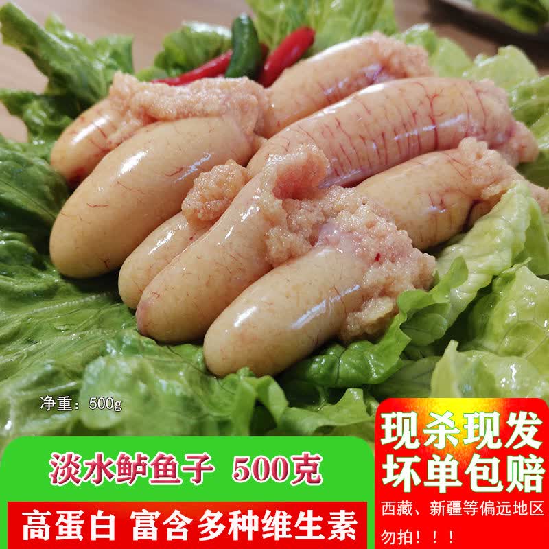 腾旺纳跃新鲜鱼籽 鲈鱼籽 桂鱼籽 鱼卵 鱼蛋 纯鱼籽 现杀 现发 500克