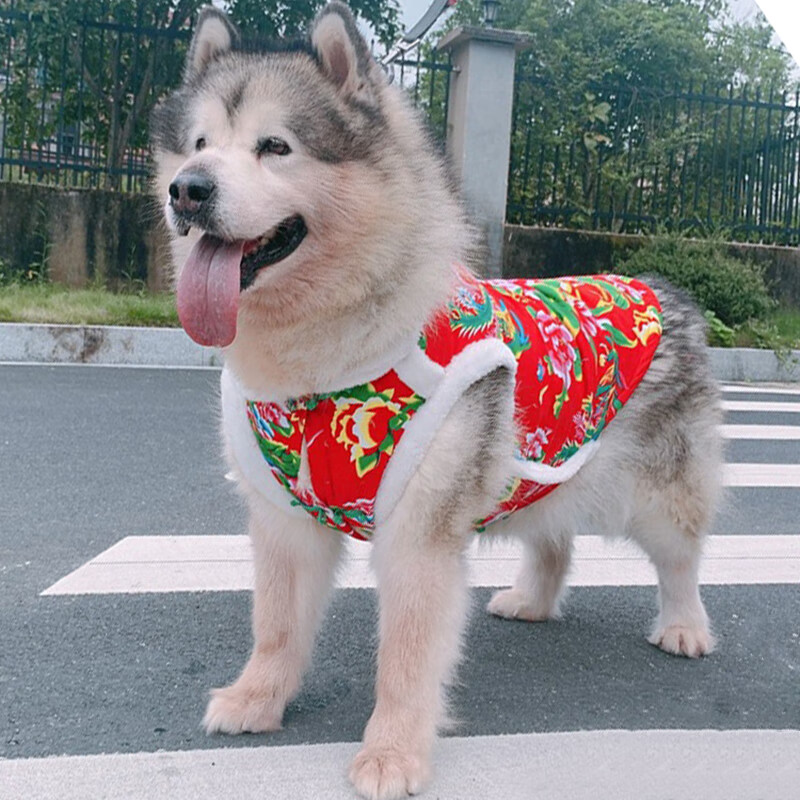 宠物鞋服活动价格历史|宠物鞋服价格比较