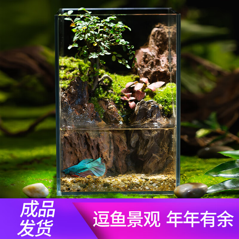 刘不丁【逗鱼景观】创意造景鱼缸桌面苔藓微景观成品玻璃鱼缸生态缸观
