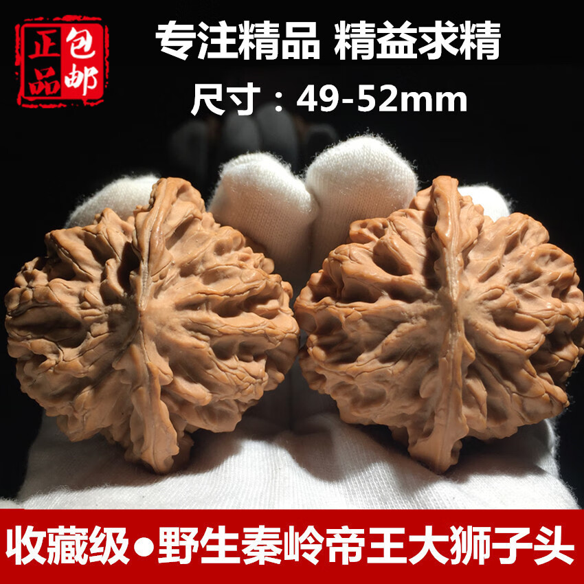 鹊奢文玩核桃野生小众稀缺秦岭帝王狮子头四座楼麻核桃特大收藏级50mm