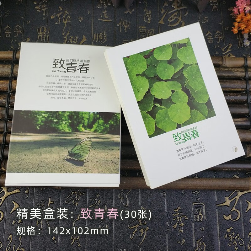 唯美ins手写字文艺风景卡片贺卡少女手帐背景卡古风励志 《致青春》30