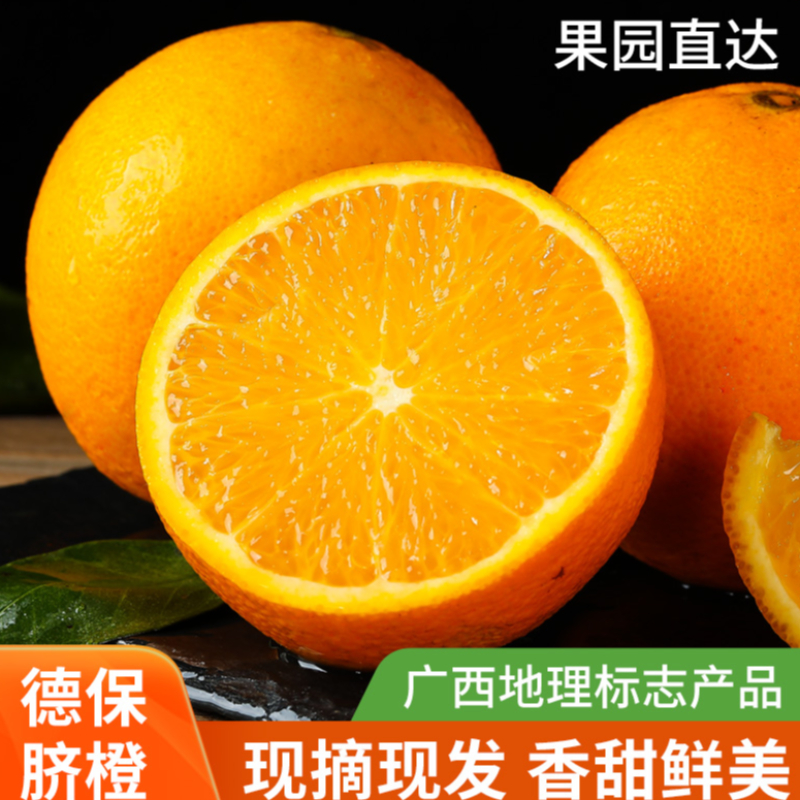 德保脐橙  广西百色德保脐橙 橙子特产产地直发新鲜孕妇水果 65mm(含)