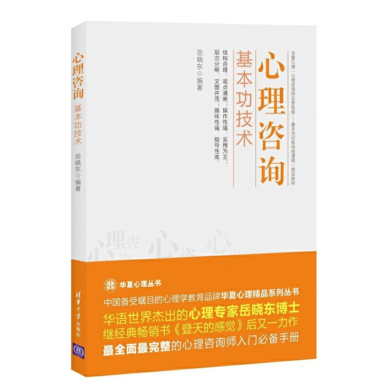 心理咨询基本功技术 岳晓东著
