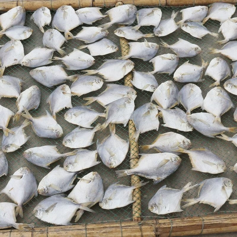【限時】咸鯧魚干銀鯧魚咸魚干半干鯧魚小咸魚干貨小魚干干貨 1000g 咸鯧魚干