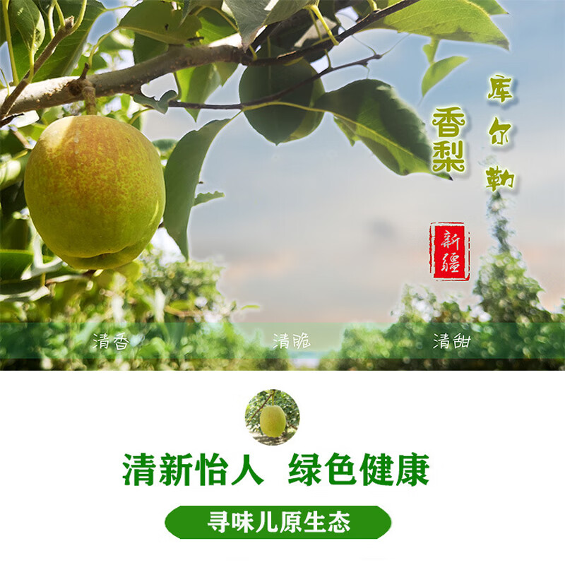京橙美锦【顺丰】新疆库尔勒香梨新鲜水果当季孕妇爆甜梨子特级全母梨整箱 特级果【单果120-140g】 净重5斤
