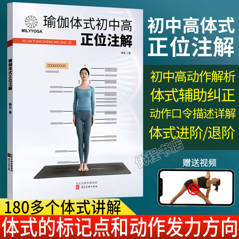 瑜伽初中高正位注解体式口令发力标注点进阶退阶辅助纠正书籍教材 正
