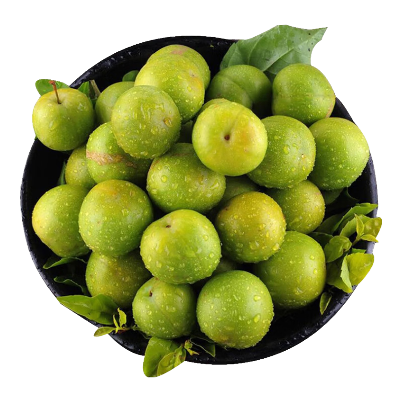 ��С��ï��Ǯ��������������������������Ӧ������и�ˮ������������ժ ������1���й���55-75��/�����450g