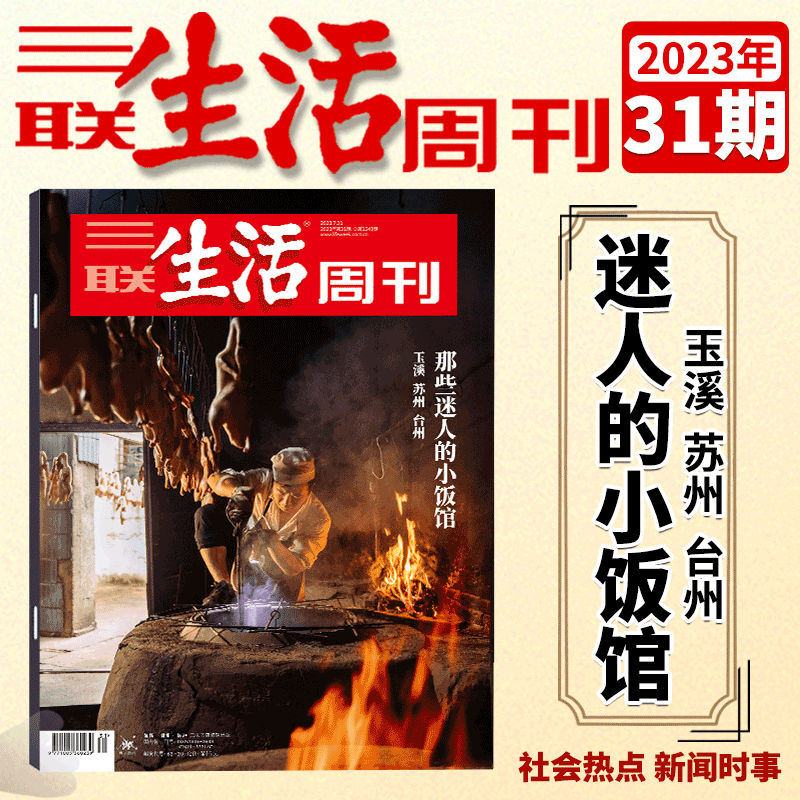 三联生活周刊杂志 2023年第31期
