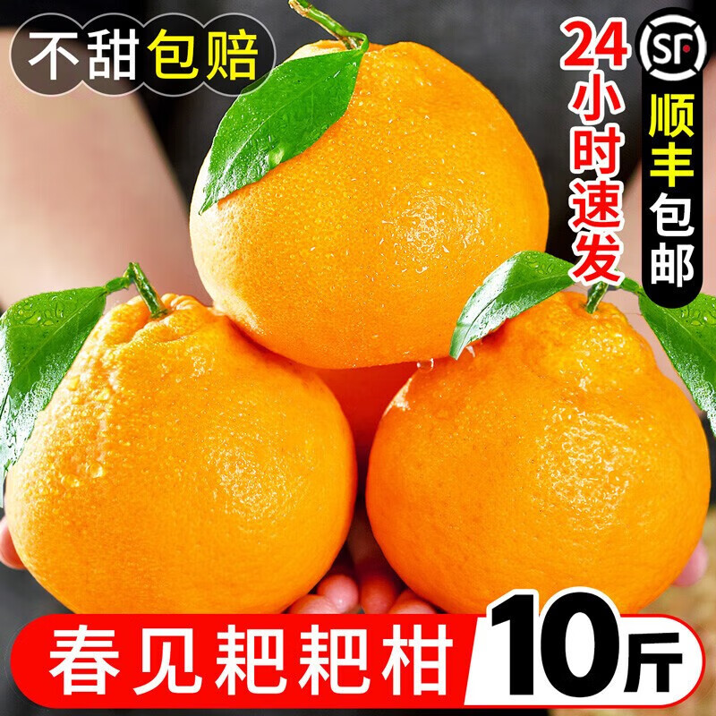 耙耙柑怎么念是橘子么(耙耙柑怎么读音是什么意思)