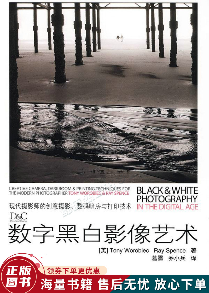 数字黑白影像艺术:使用灰遮挡和加光