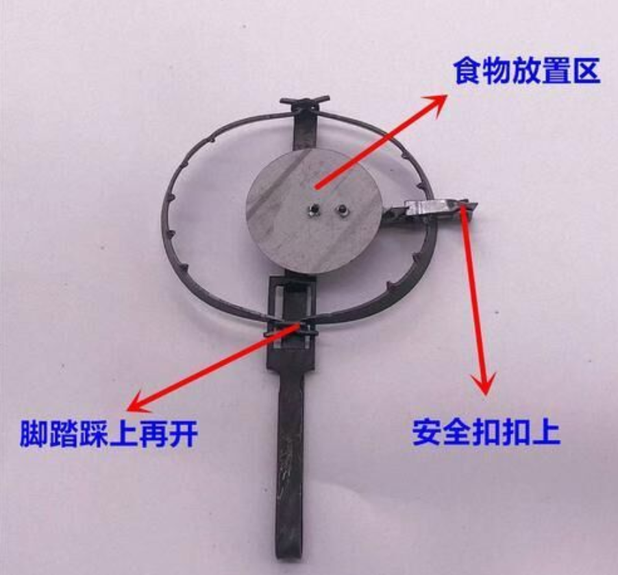 老鼠夹捕鼠器强铁质家用圆形老鼠笼捉抓老鼠夹子神器大号5个装 带把柄