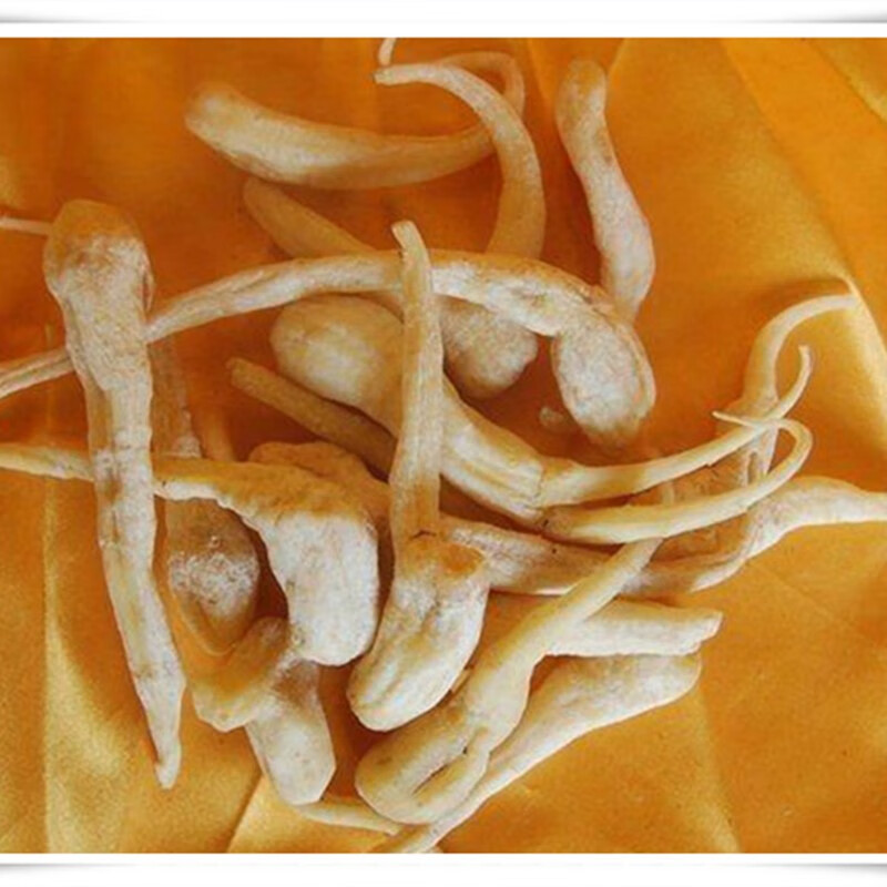 山间谷草峨参峨参500g四川峨眉山土田七金山田七干货