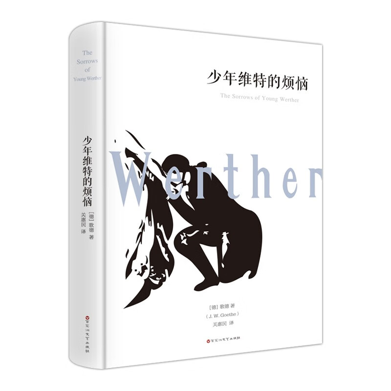 少年维特的烦恼