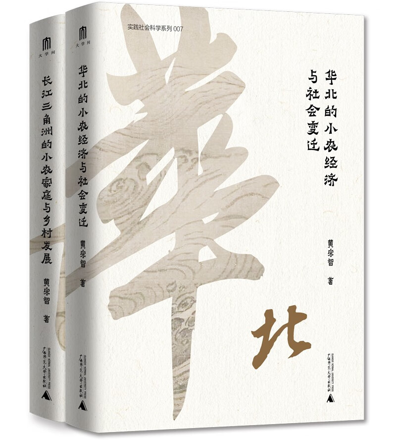 大学问·黄宗智中国社会经济史研究代表作两种：华北的小农经济与社会变迁+长江三角洲的小农家庭与乡村发展（套装共2册）（学者史景迁、罗威廉、周锡瑞、怀默霆、周黎安、马敏联袂推荐，大学问出品）