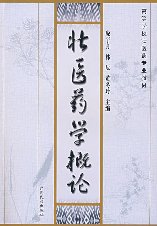 壮医药学概论【正版图书】