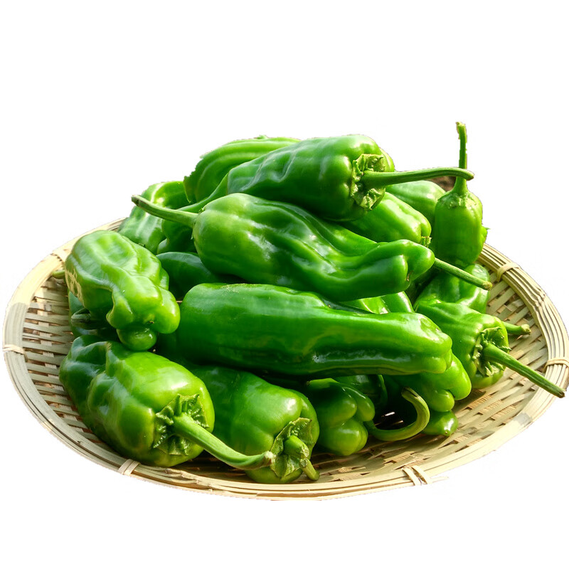青辣椒新鲜现摘农家自种青椒薄皮椒微辣芜湖椒虎皮椒 1500g