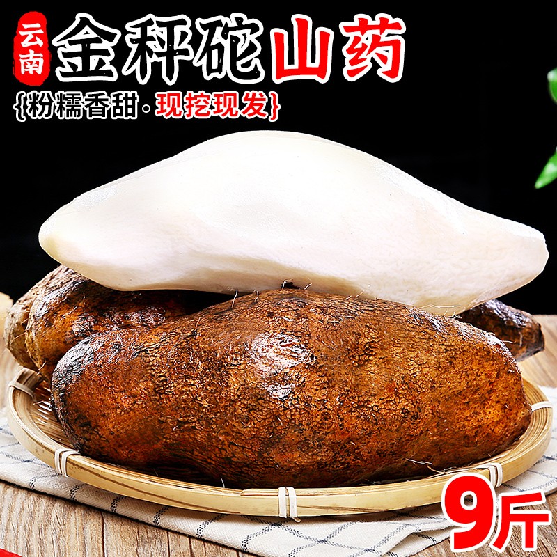 云南金秤砣山葯新鲜山葯香糯软滑糯米山葯林芝山葯 【金秤砣山药】 2