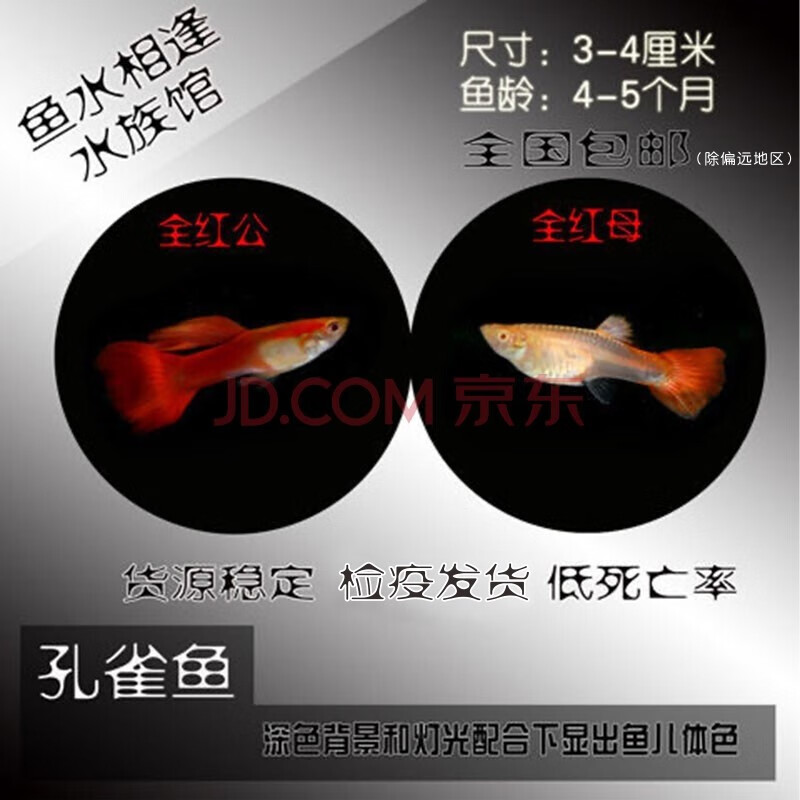 怎么查京东水族活体历史价格查询|水族活体价格走势