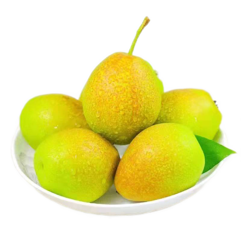 ˳���������ɽ����������Ƥ��������������ˮ������Ӧ������ ����9������ѡװ 44.9Ԫ(����ȯ)