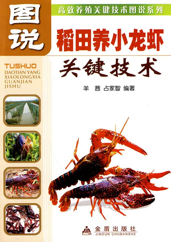 图说稻田养小龙虾关键技术【正版图书】