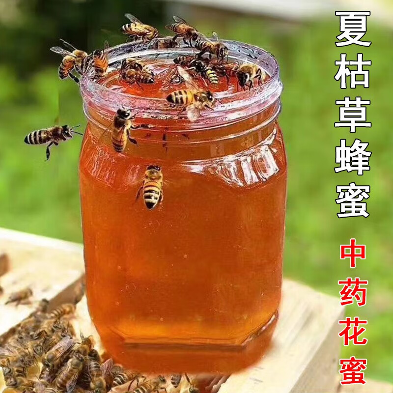 【中药花蜜】夏枯草蜂蜜中草药花源天然纯正稀有农家自产500g野生