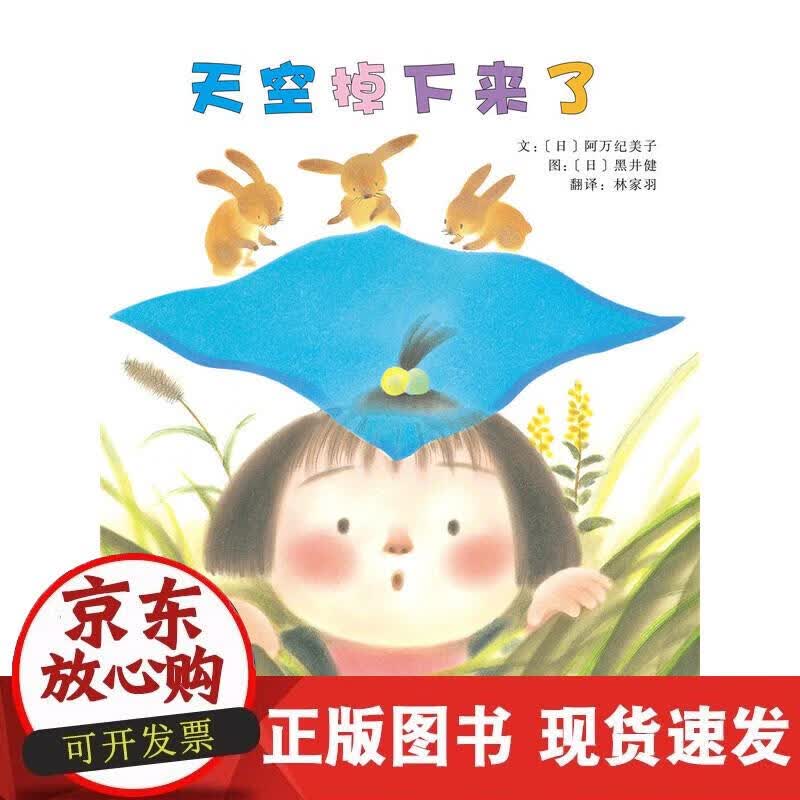 【正版现货】天空掉下来了