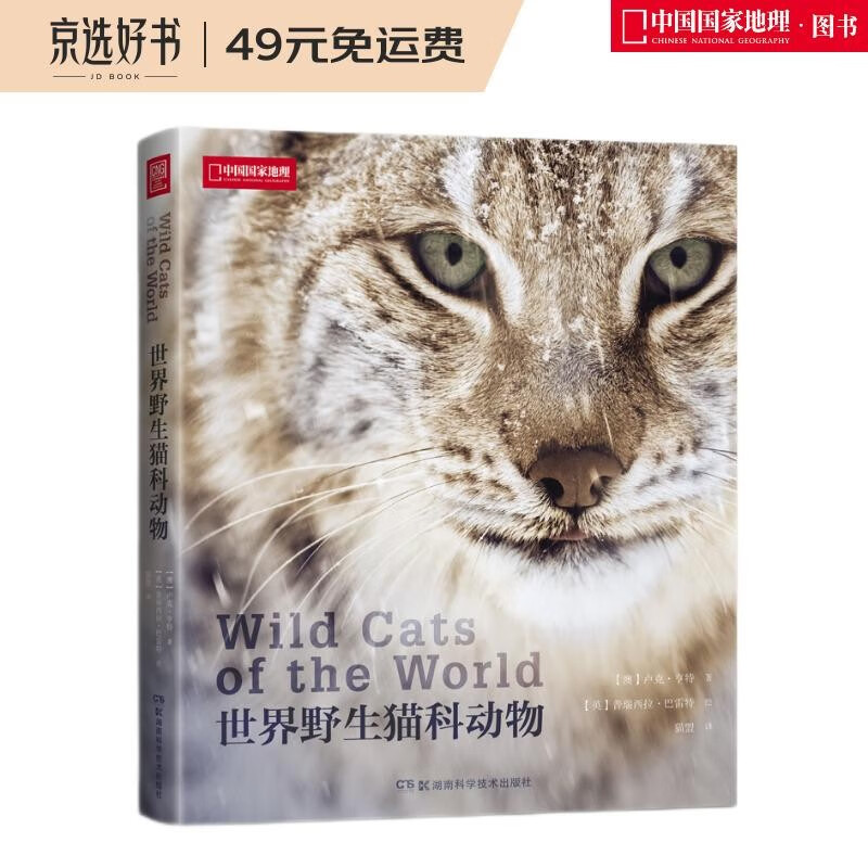 世界野生猫科动物