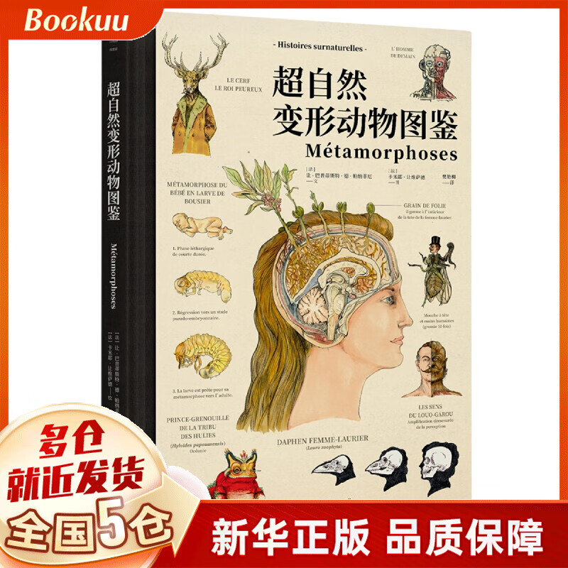 【新版精装版】博物学家的神秘动物图鉴 超自然变形动物图鉴 套装可选 西方版的山海经 超自然变形动物图鉴