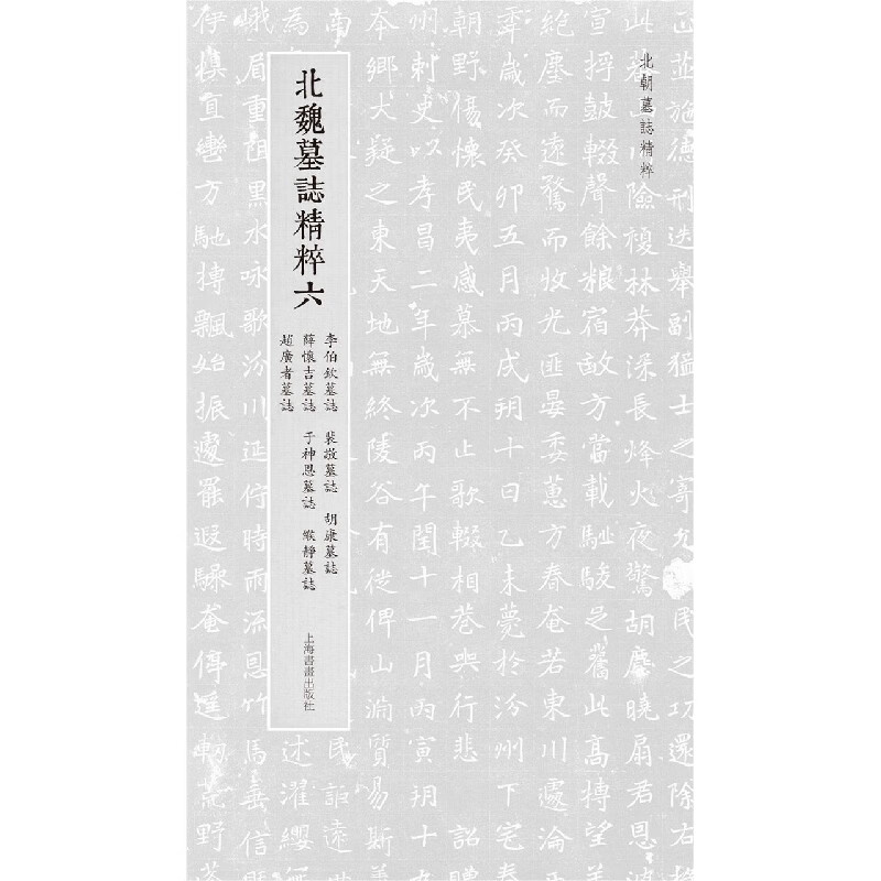 北朝墓志精粹·北魏墓誌精粹六