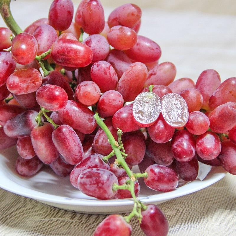 caifan 克伦生无籽红提新鲜葡萄无核提子应季孕妇当季水果 1000g