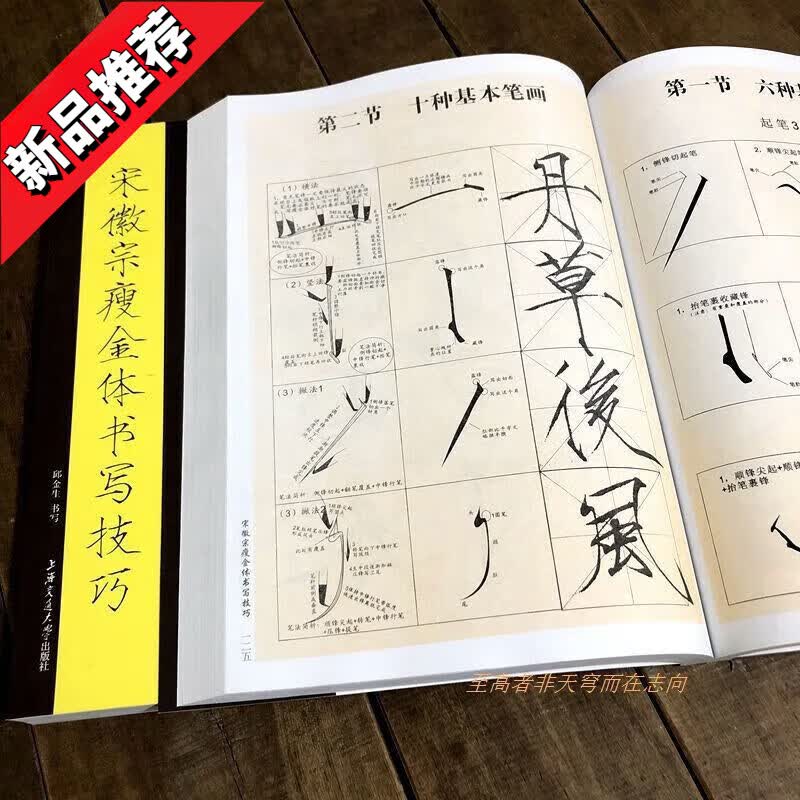 书写技法技巧书千字文初学者毛笔书法教程宋徽宗瘦金体书写技巧/325页