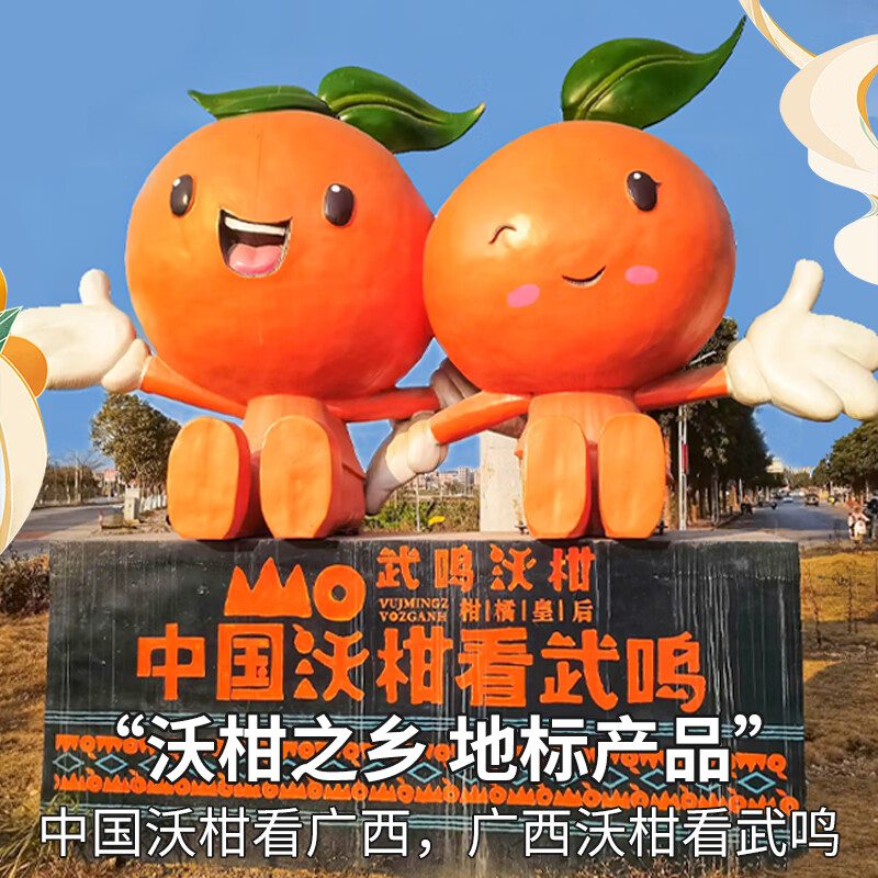 桦萱沃柑云南高山特产柑橘子砂糖整箱新鲜水果礼盒 净重8-9斤精选果(60-65mm) 沃柑