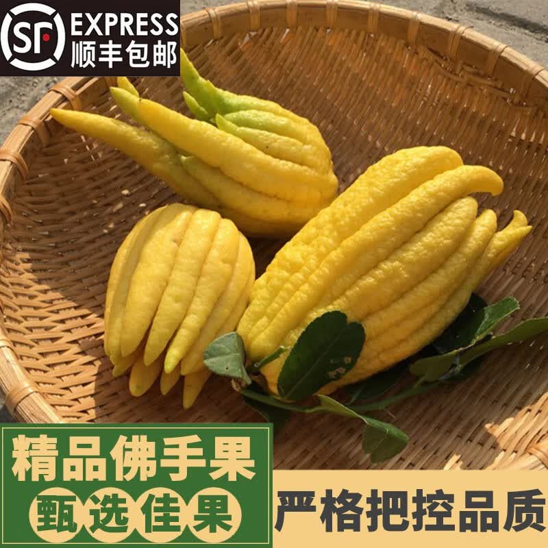 【顺丰】佛手果 佛手柑金佛手瓜香橼果新鲜食用清供观赏把玩茶饮拂手