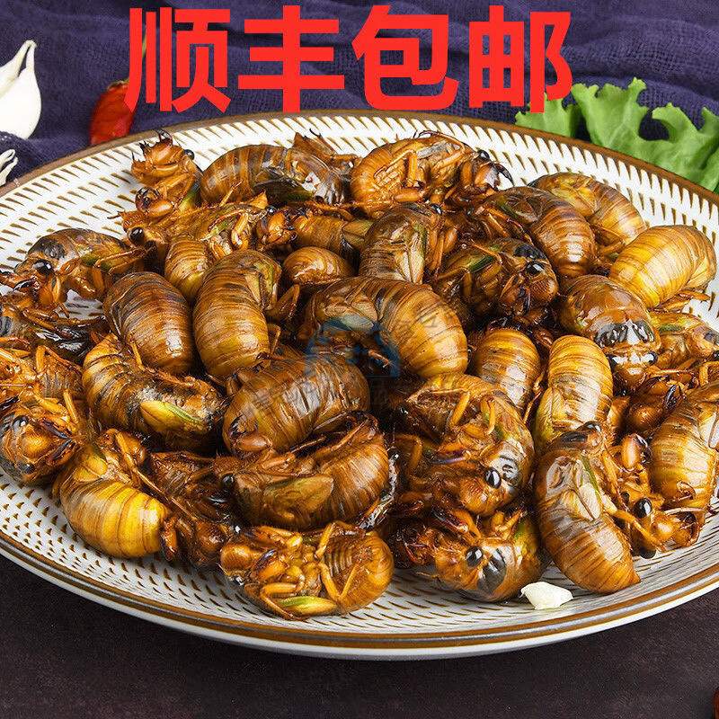 可局山東特產(chǎn) 金蟬知了 猴爬叉活體 順豐蟬蛹節(jié)流龜 新鮮現(xiàn)抓爬炸 約50個半斤裝
