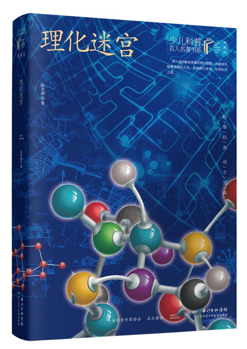 理化迷宫赵世洲长江少年儿童出版社有限公司9787572117510/科学与自然