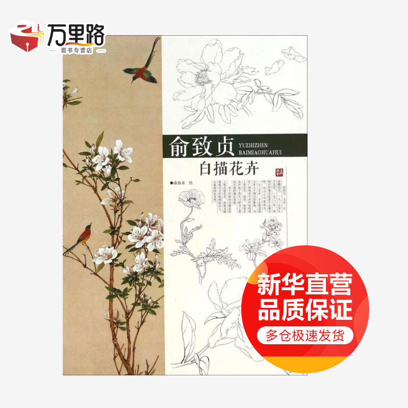 俞致贞白描花卉